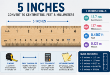 5 Inches