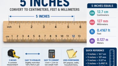5 Inches