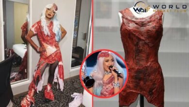 lady gaga meat dress