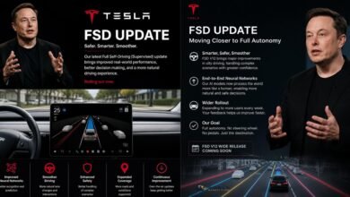 elon musk tesla fsd update​