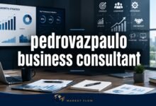 pedrovazpaulo business consulting
