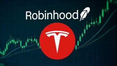 Tesla Stock Robinhood