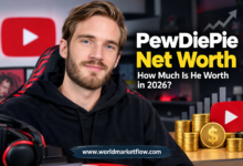 PewDiePie Net Worth