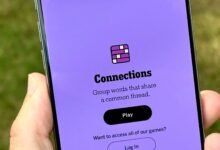 connections hint
