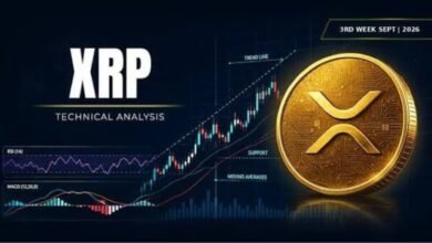 xrp price