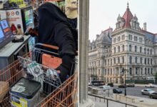 albany ny news